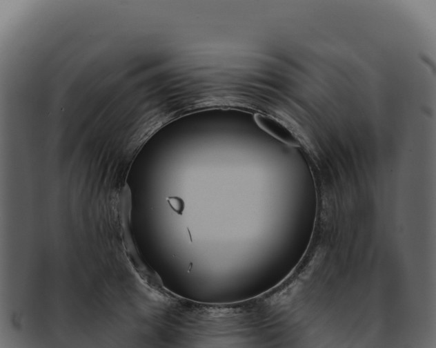 X0000092300849200710041446