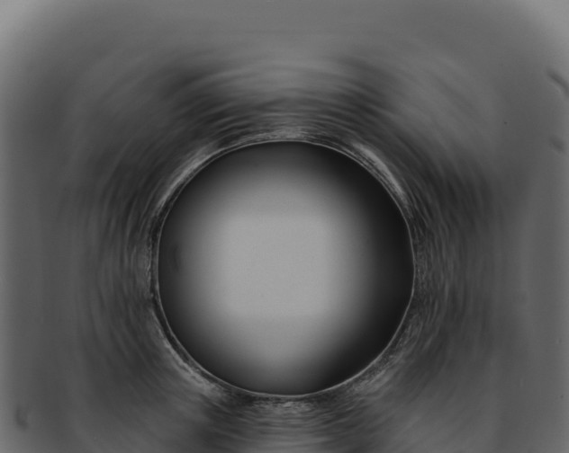 X0000092300851200710041446