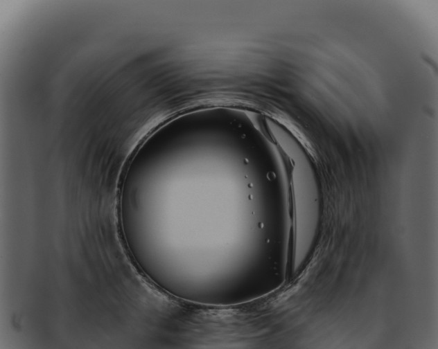 X0000092300853200710041446