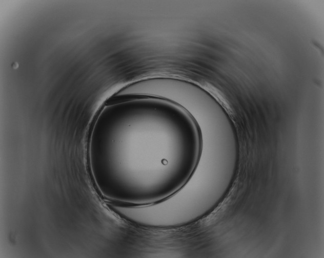 X0000092300854200710041446