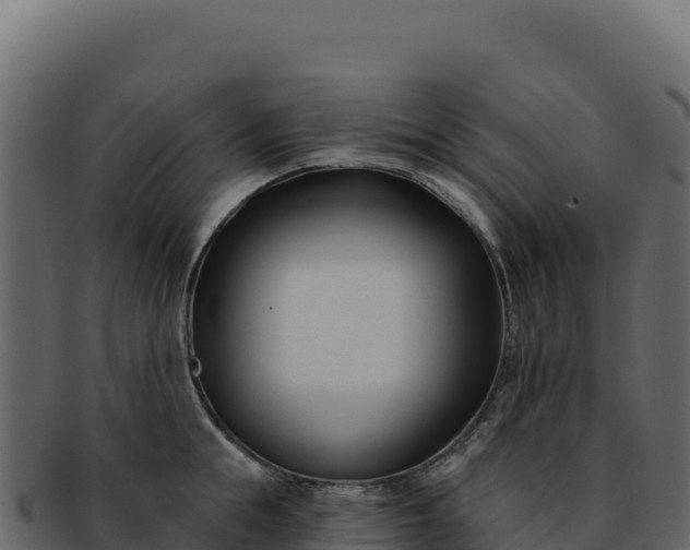 X0000092300855200710041446