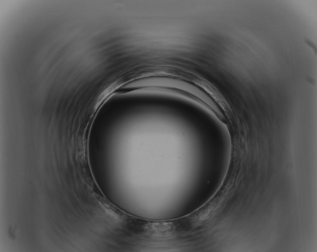 X0000092300858200710041446