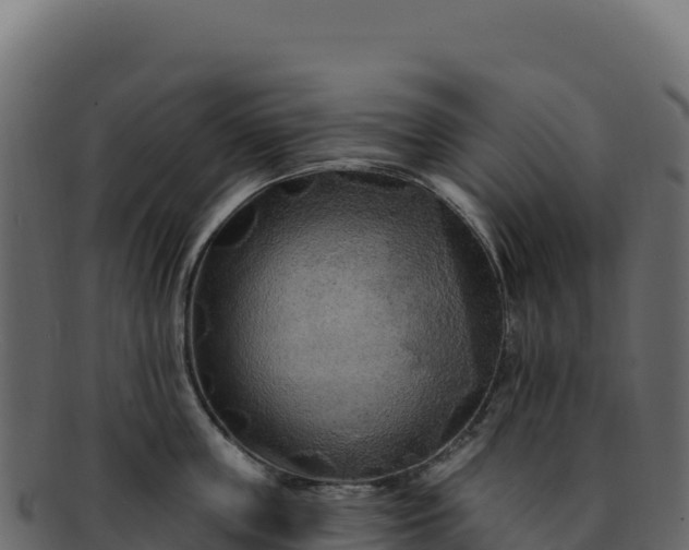 X0000092300859200710041446