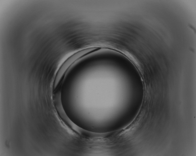 X0000092300862200710041446