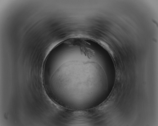 X0000092300863200710041446