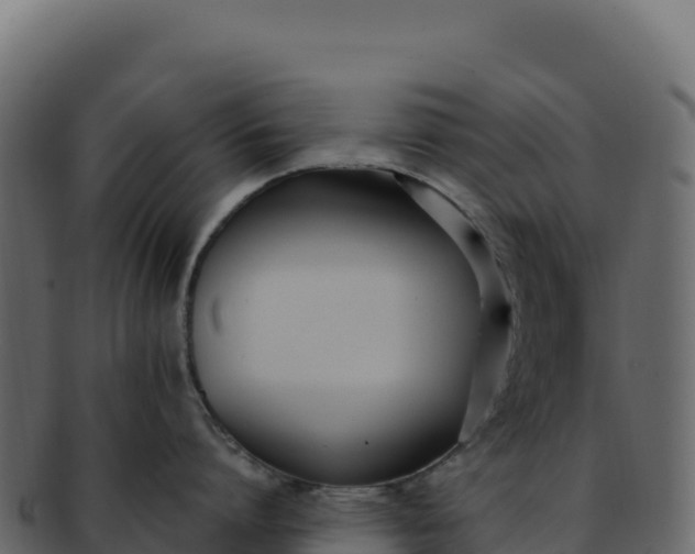 X0000092300864200710041446