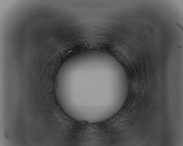 X0000092300865200710041445