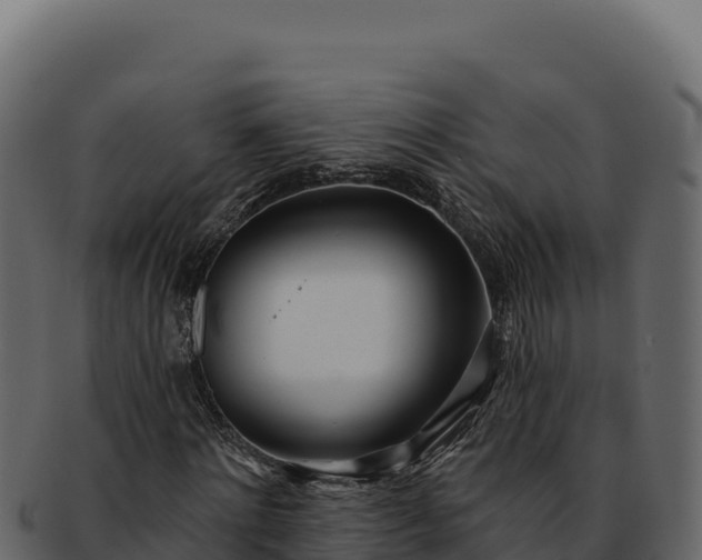 X0000092300868200710041445