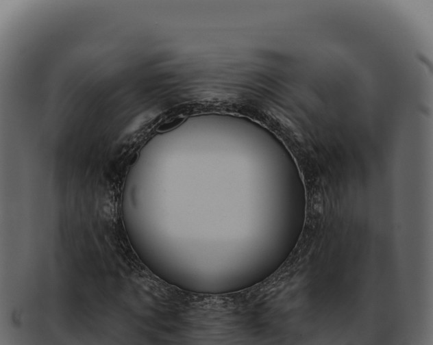 X0000092300869200710041445