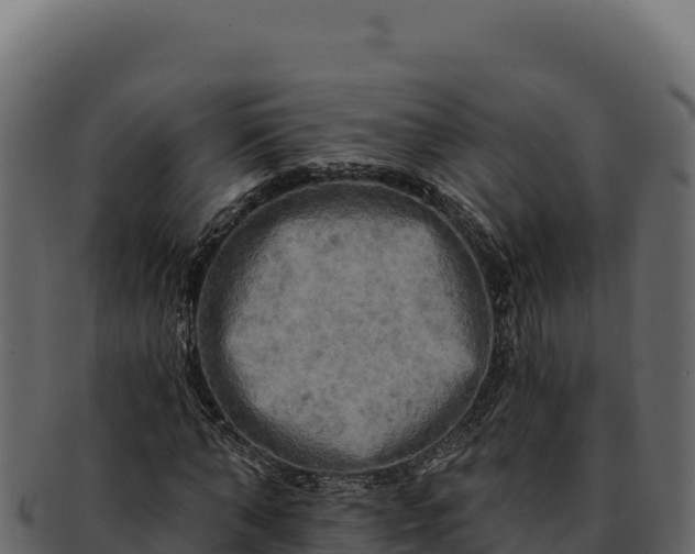 X0000092300870200710041445