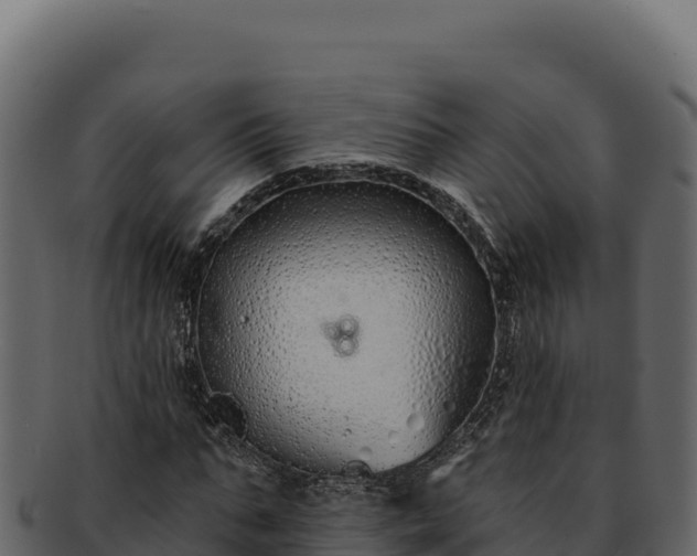 X0000092300871200710041445