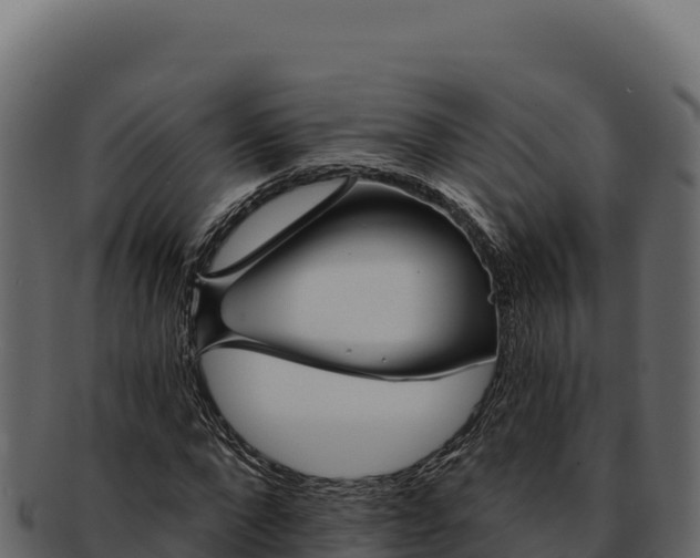 X0000092300872200710041445