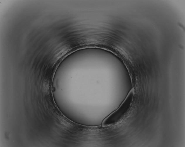 X0000092300873200710041445