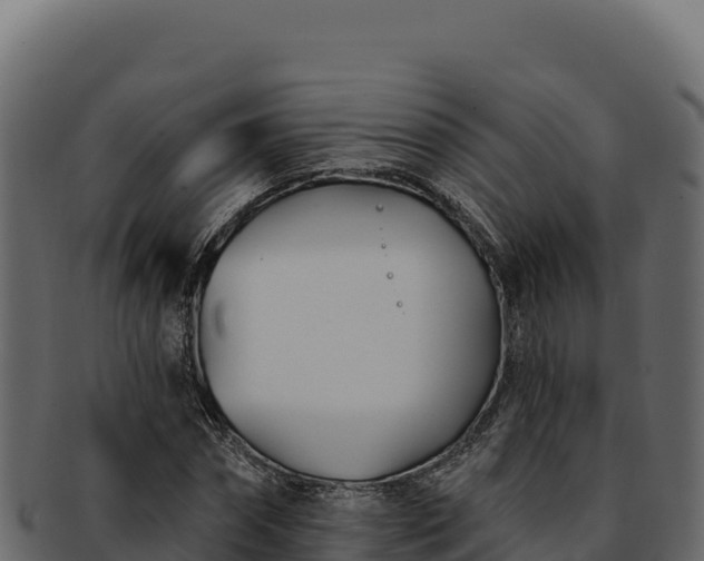 X0000092300874200710041445