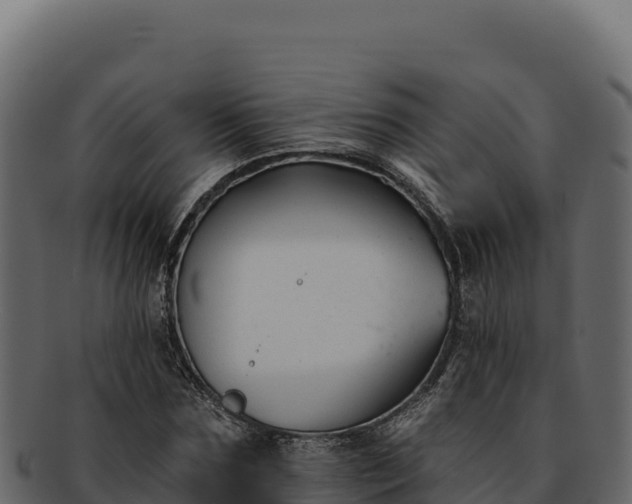 X0000092300875200710041445