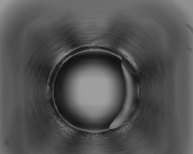 X0000092300876200710041445