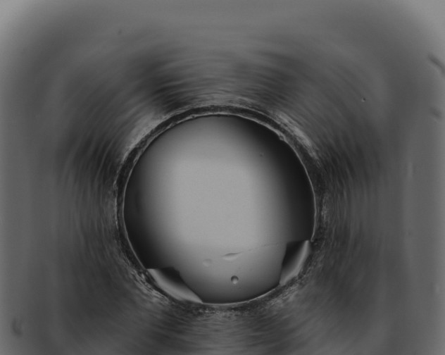 X0000092300877200710041445