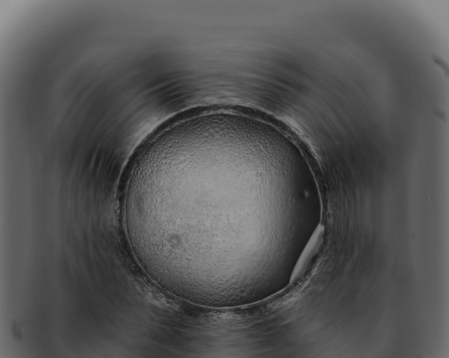 X0000092300879200710041445