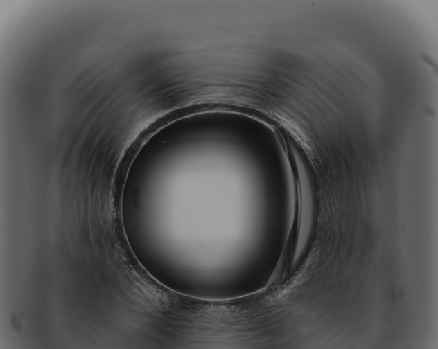 X0000092300880200710041445