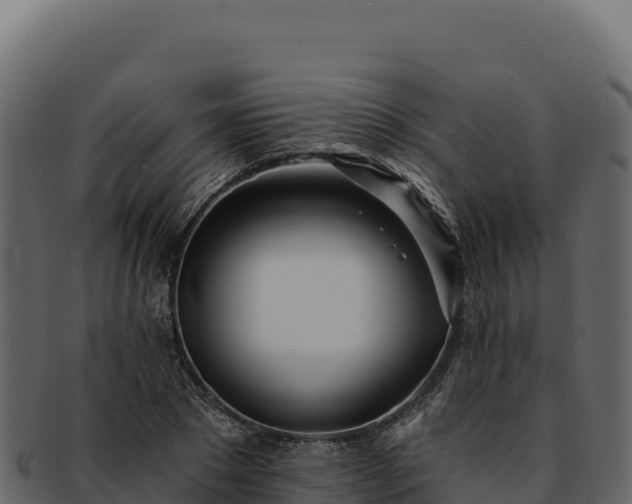 X0000092300881200710041445