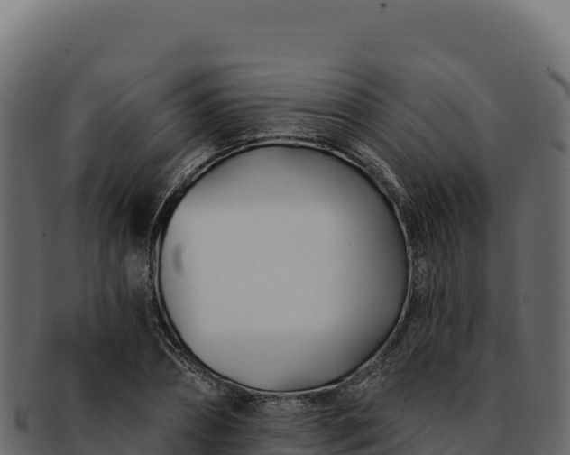 X0000092300882200710041445