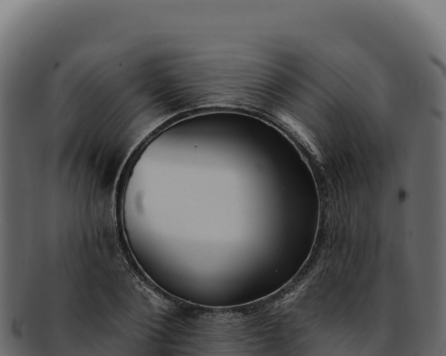 X0000092300884200710041445