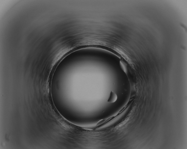 X0000092300885200710041445