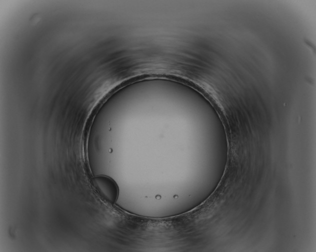 X0000092300887200710041445