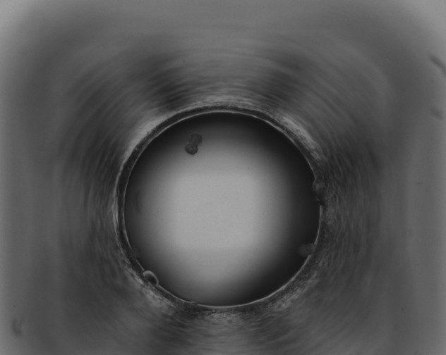 X0000092300888200710041445