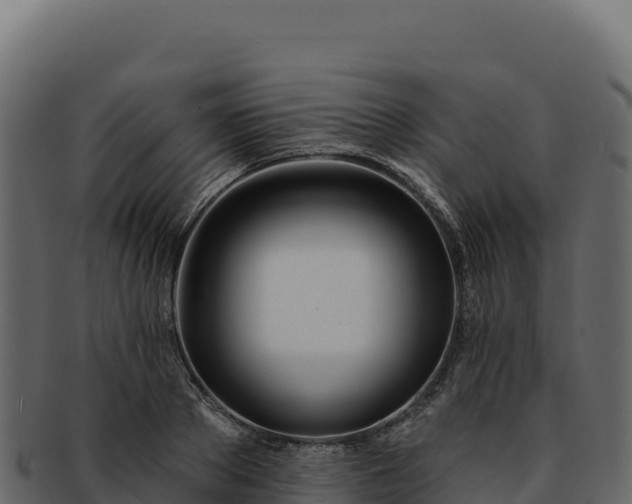 X0000092300889200710041445