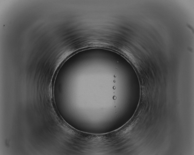 X0000092300891200710041445