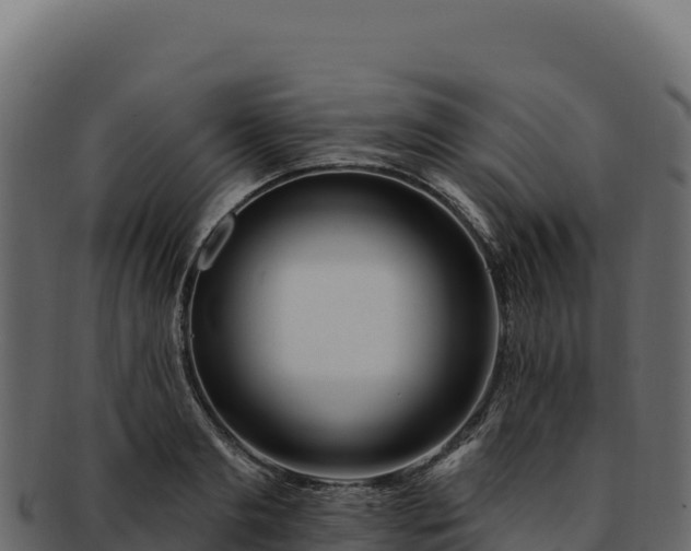 X0000092300893200710041445