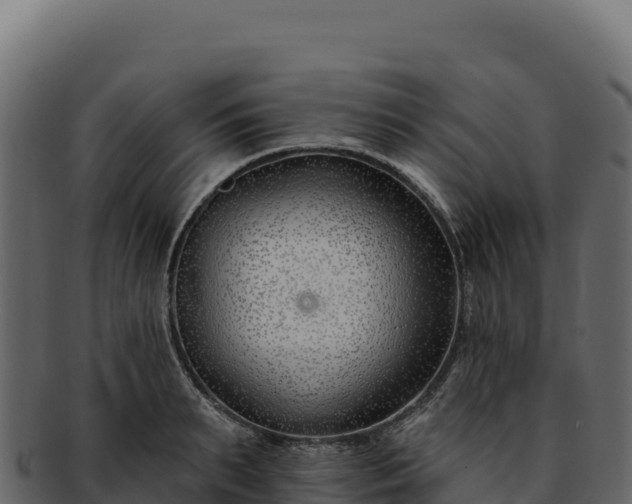 X0000092300895200710041445