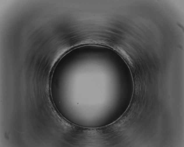 X0000092300896200710041445