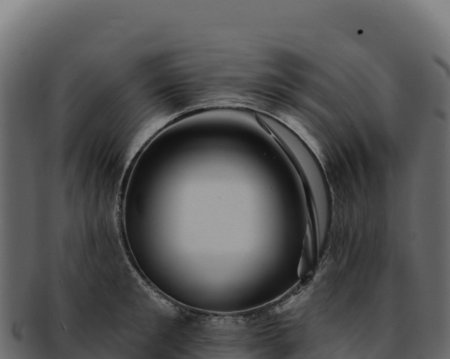 X0000092300901200710041445