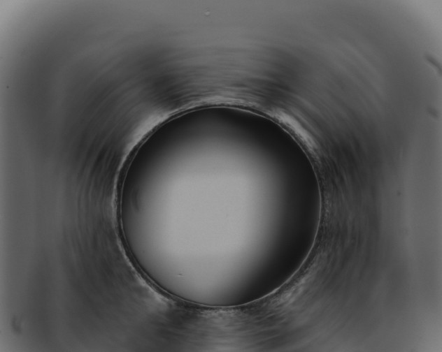 X0000092300902200710041445