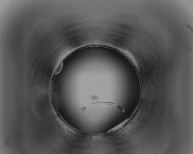 X0000092300903200710041445