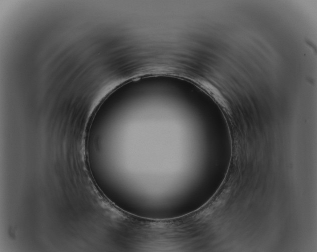 X0000092300904200710041445