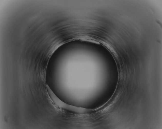 X0000092300905200710041445