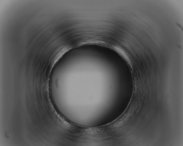 X0000092300906200710041445