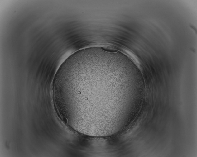 X0000092300907200710041445