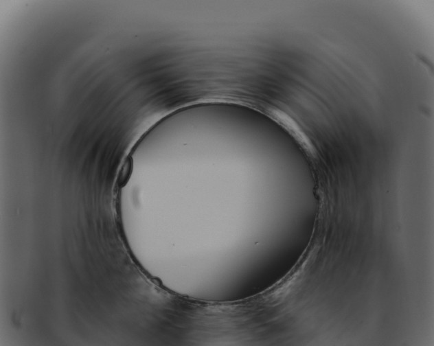 X0000092300908200710041445