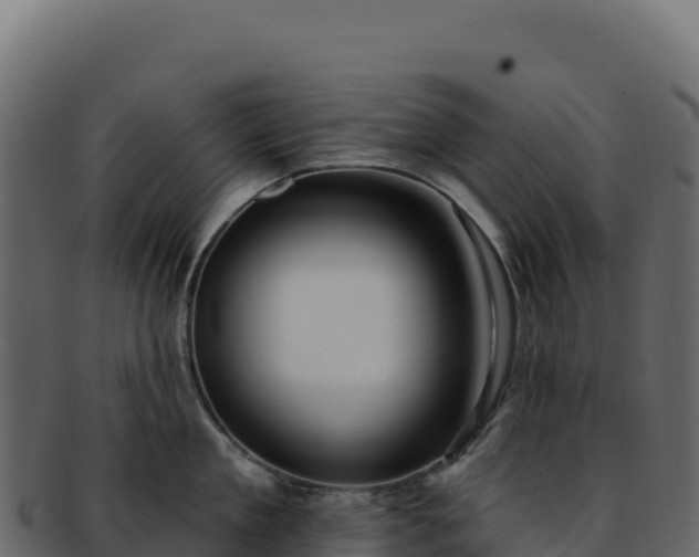 X0000092300909200710041445