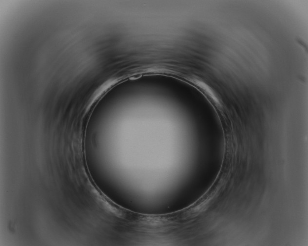 X0000092300910200710041445