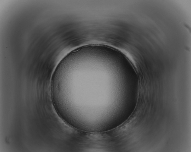 X0000092300911200710041445