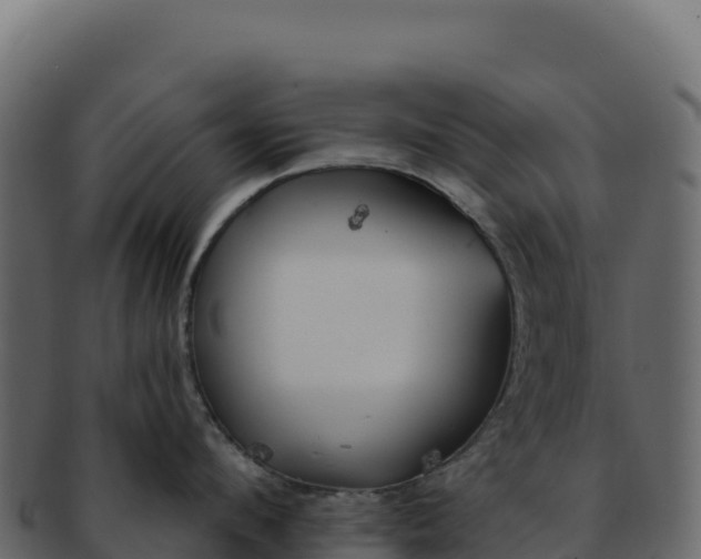 X0000092300912200710041445