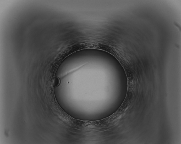 X0000092300913200710041444