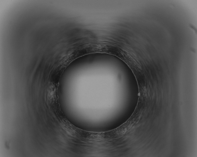 X0000092300914200710041444