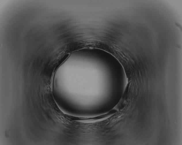 X0000092300916200710041444