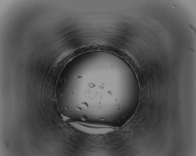 X0000092300919200710041444